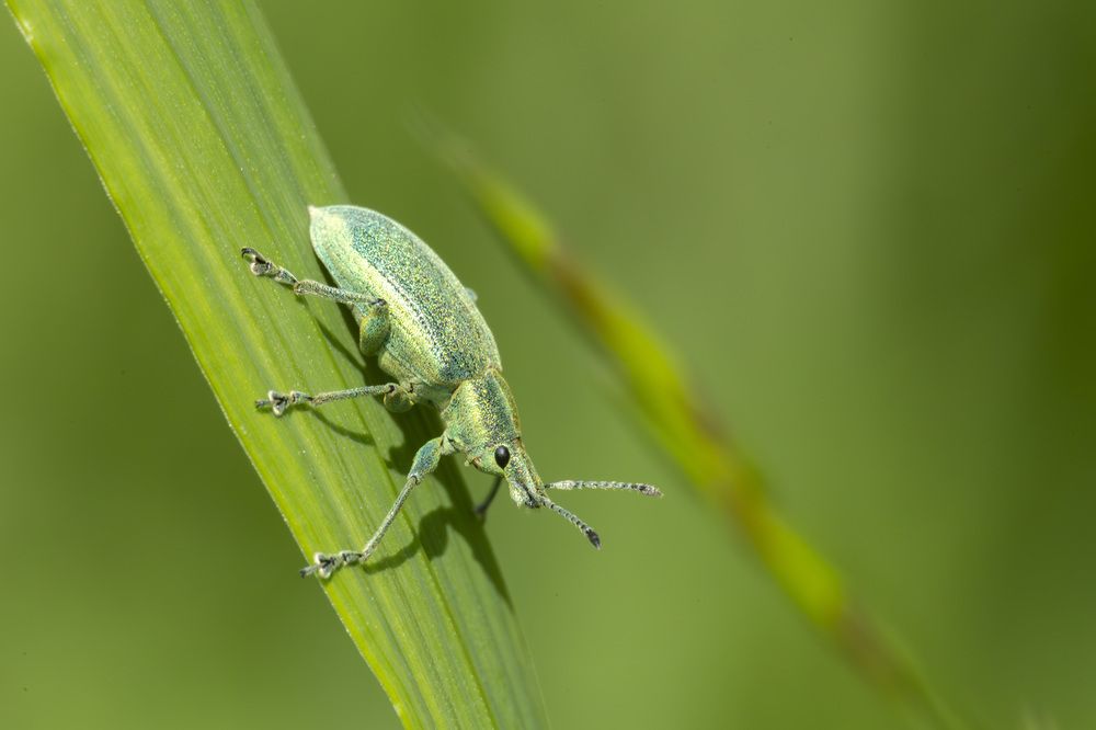 Photograph by Максим Григорьев