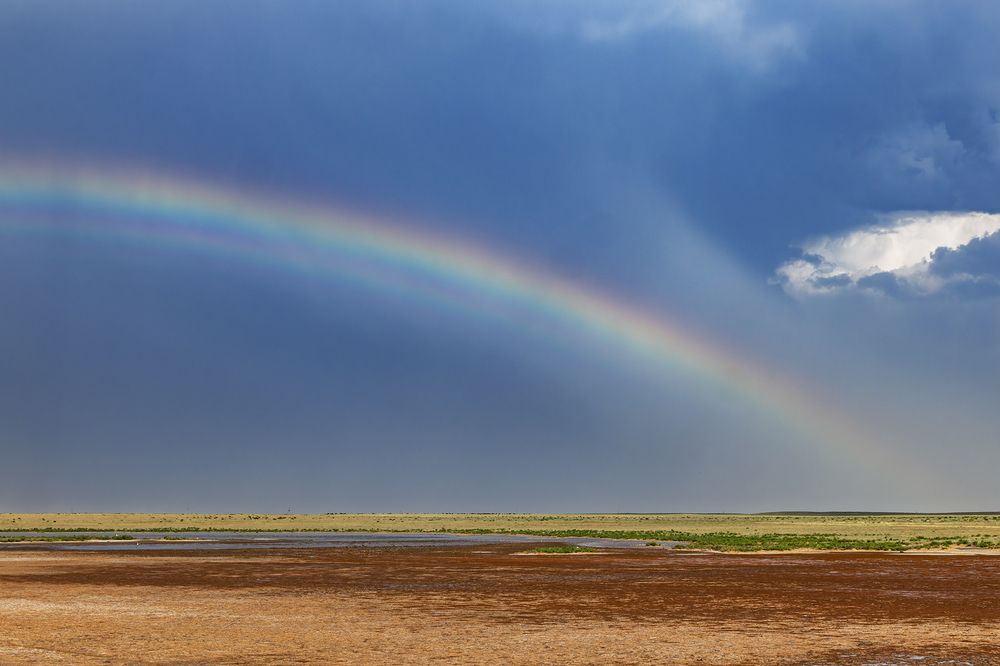 Photograph by Анна Бокова