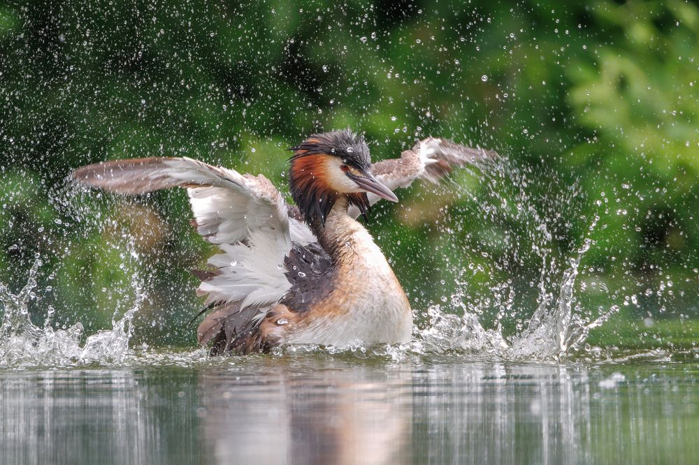 Photograph by Вера Машина