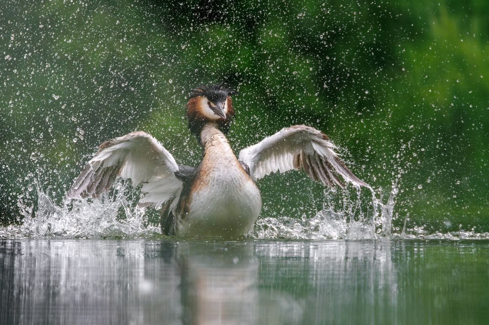 Photograph by Вера Машина