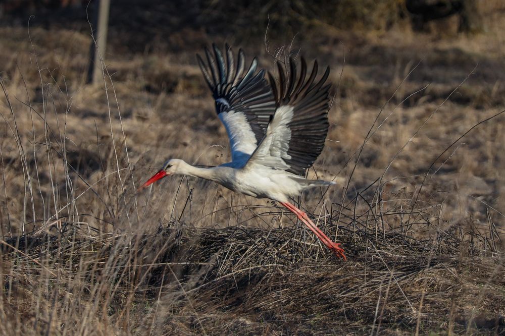 Photograph by Сергей Игнатьев
