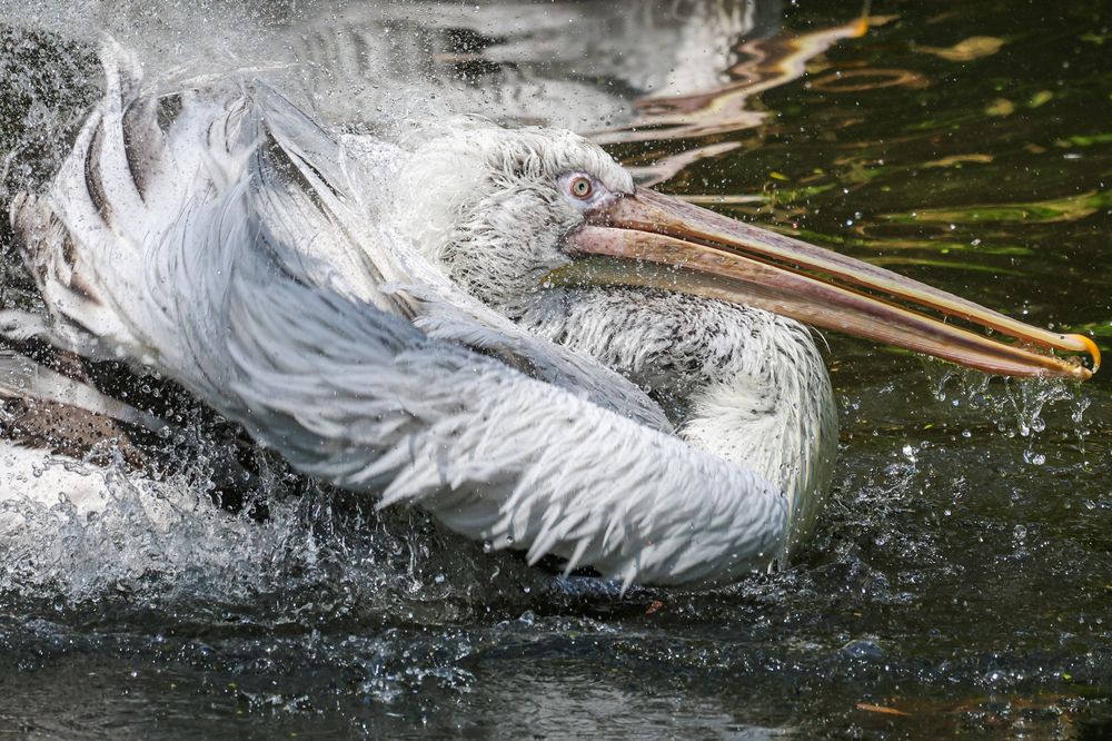 Photograph by Екатерина Якель