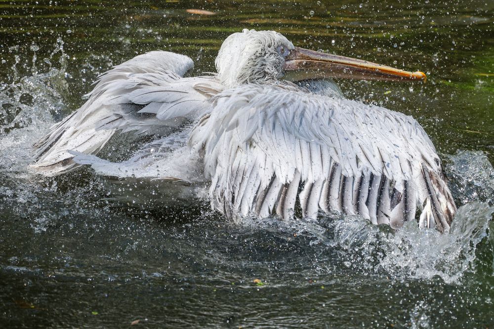 Photograph by Екатерина Якель