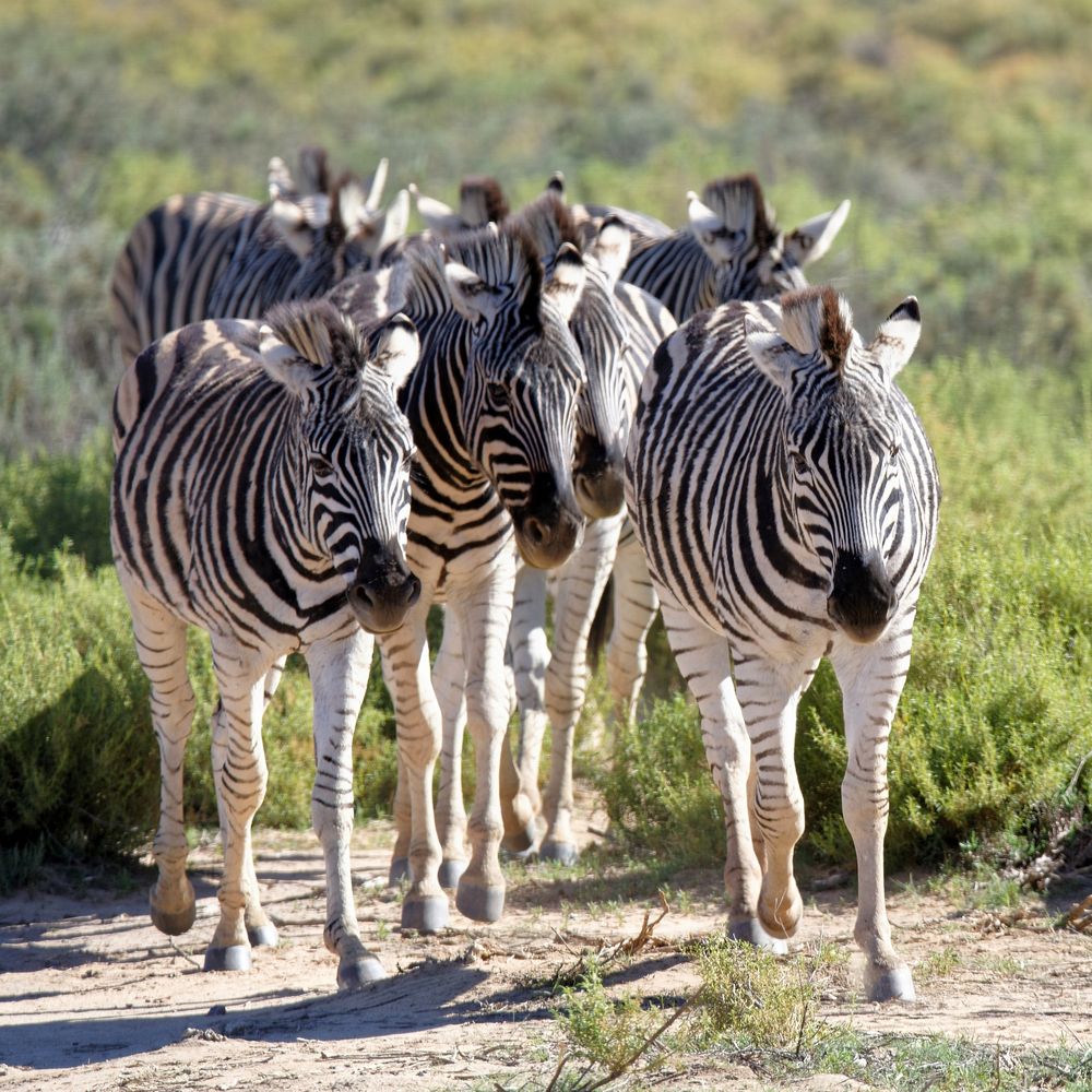 Photograph by Григорий Константинов