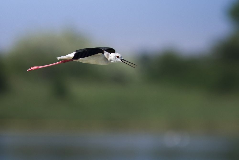 Photograph by Marko Stoickov