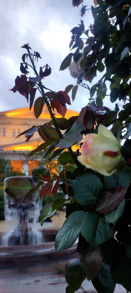 Фотография автора Анастасия Большакова