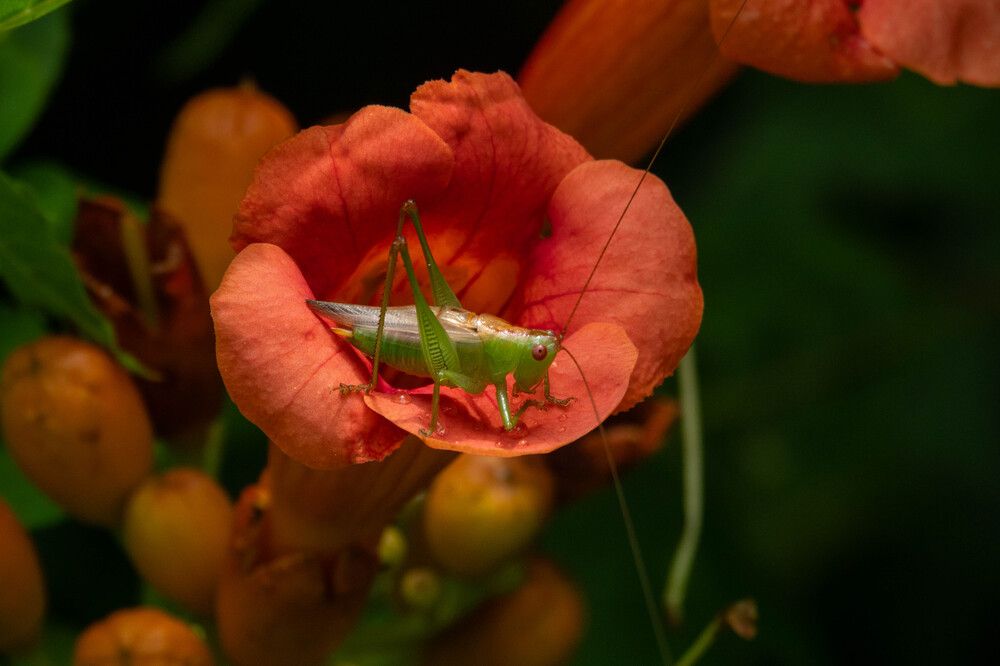 Photograph by Анатолий Костерев
