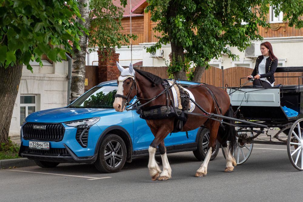 Фотография автора Валерий Бычков