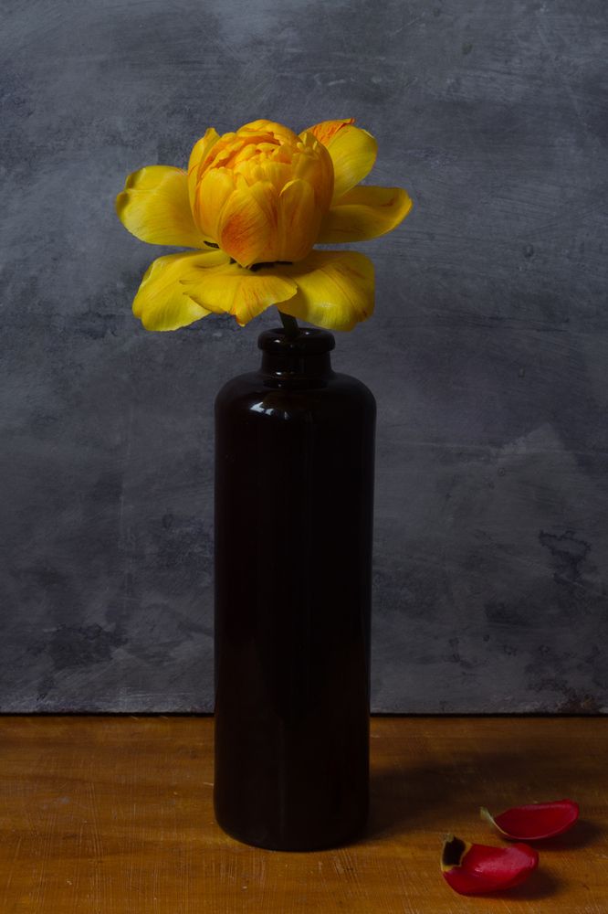 Photograph by Алексеев Сергей