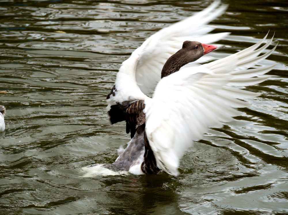 Photograph by Abdolreza Aleagha