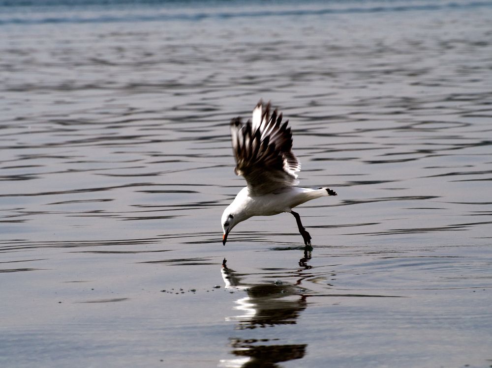 Photograph by Abdolreza Aleagha