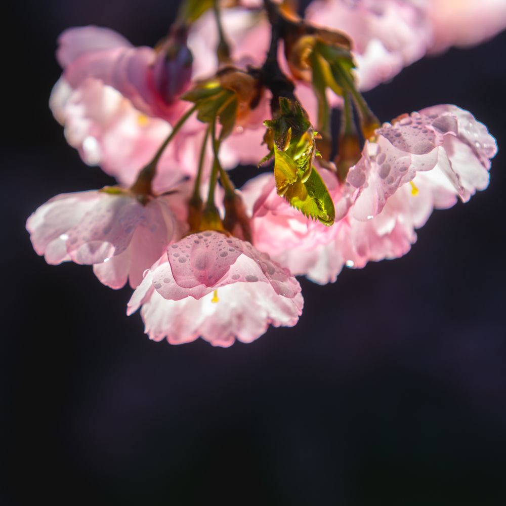 Фотография автора Aлексей Игнатьев