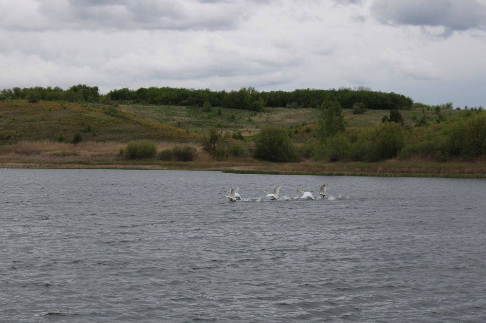 Photograph by Елена Коробченко