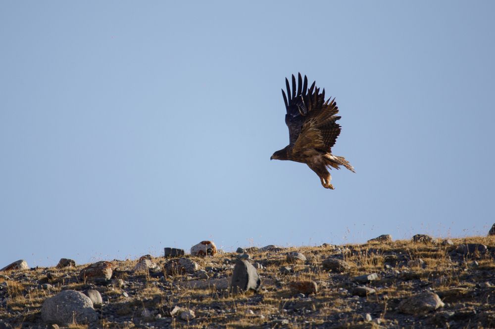Photograph by Нерозя Александр