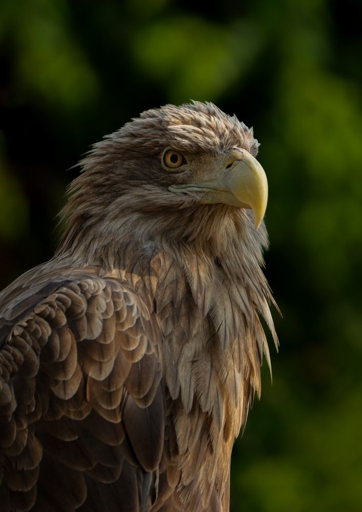 Photograph by Юрий Юрьевич Подгрушный