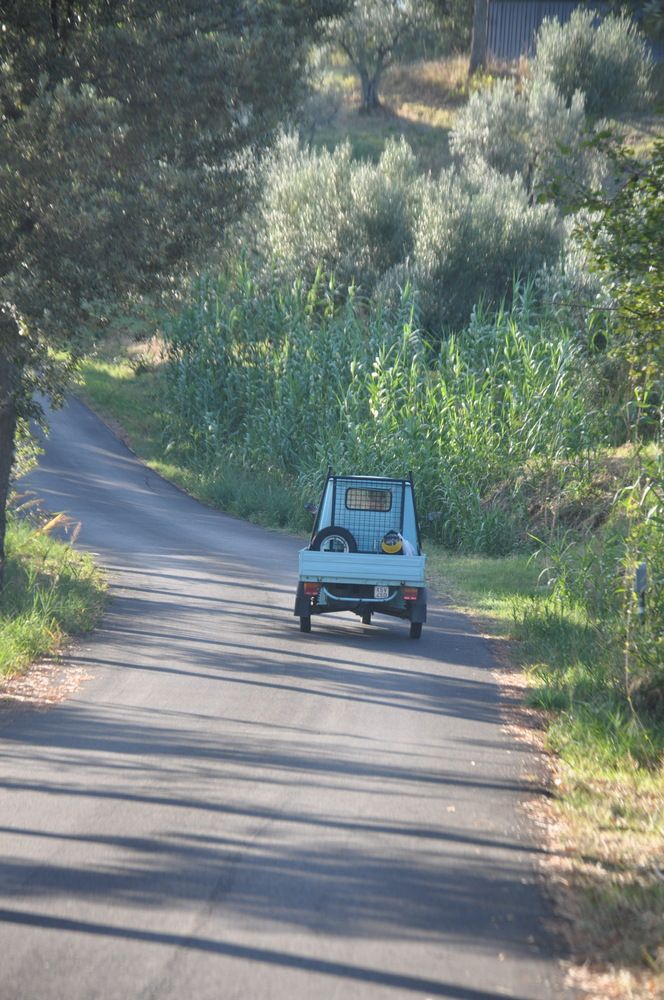 Фотография автора Sandra Bruttomesso