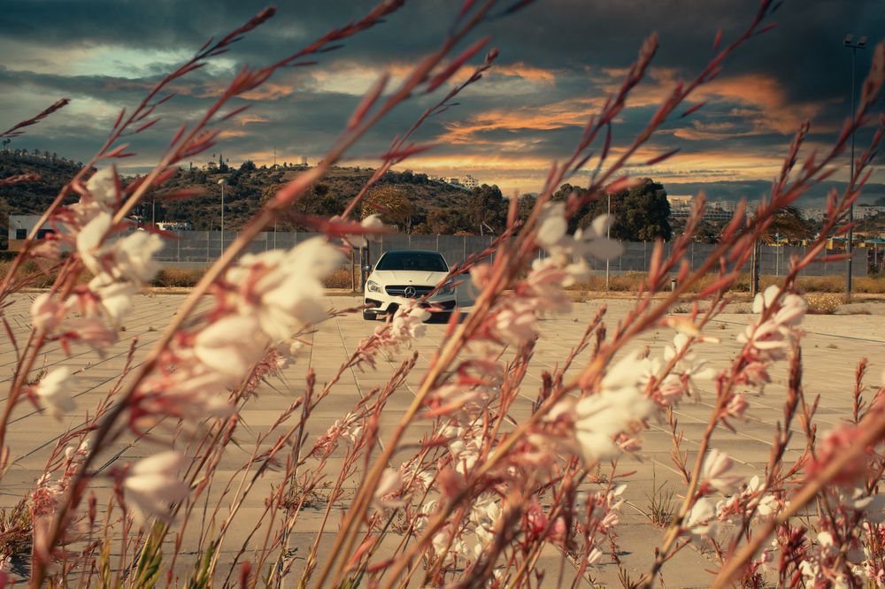 Photograph by Fábio Martins