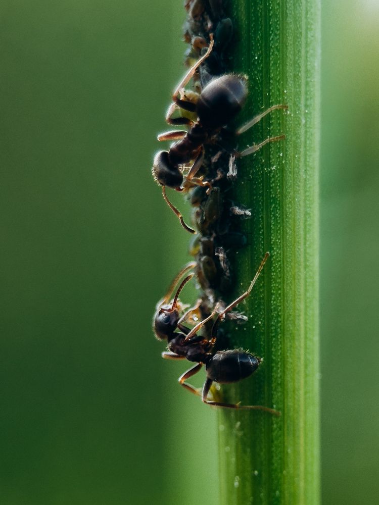 Photograph by Алиса Нежинская