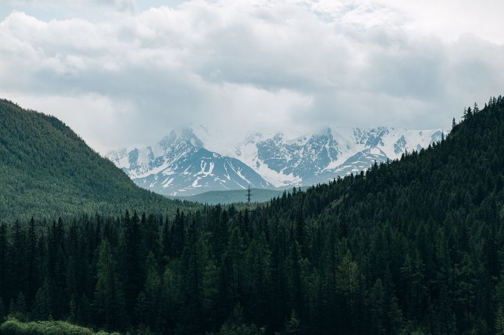 Photograph by Егор Кошелев