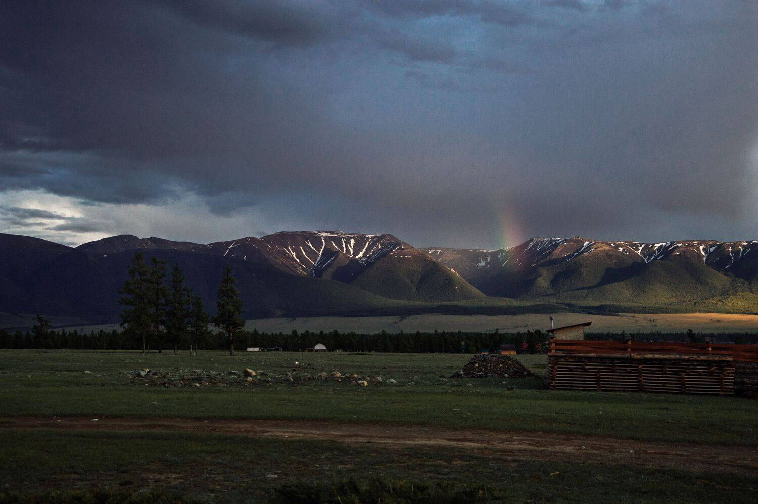 Photo #12287377
