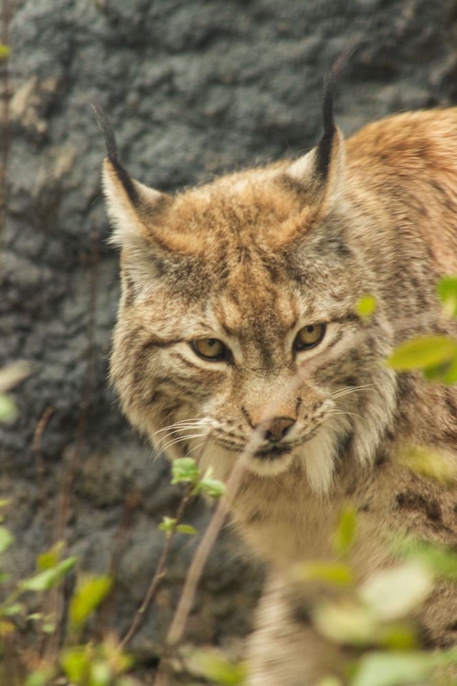 Photograph by Елена Ибрагимова