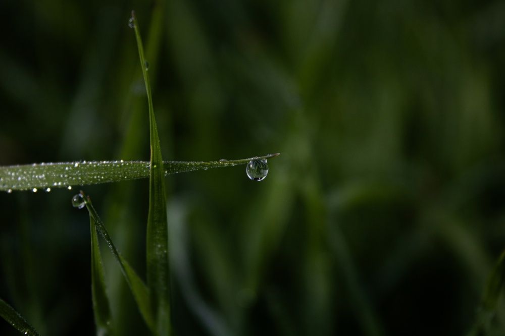 Photograph by Ксения Смолякова