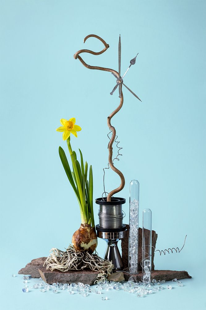 Время весны