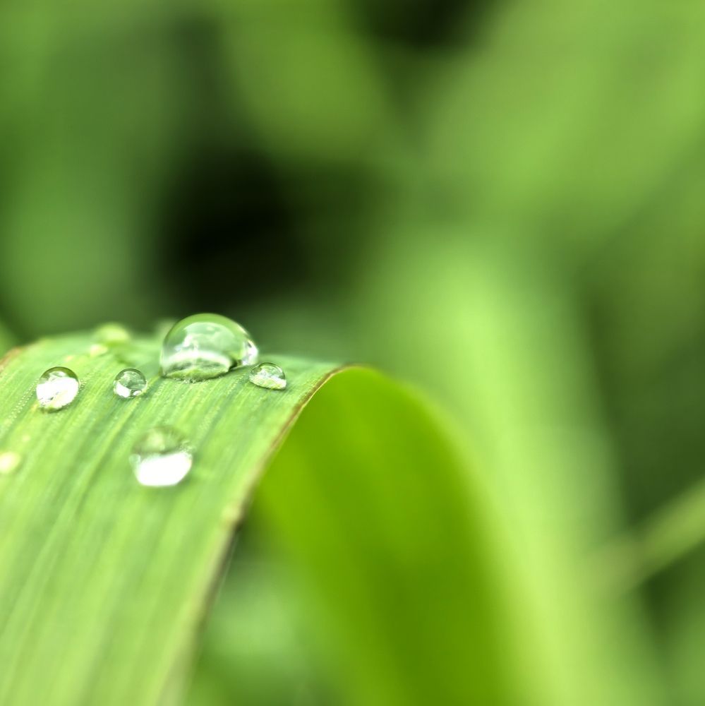 Photograph by Юрий Полушин