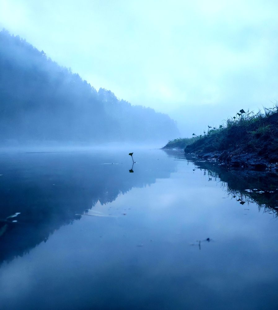 Photograph by Ирина Басырова