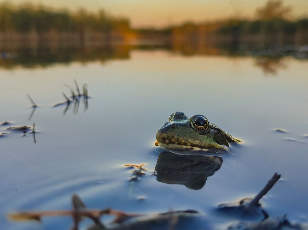 Фотография автора Юрий Юрьевич Подгрушный