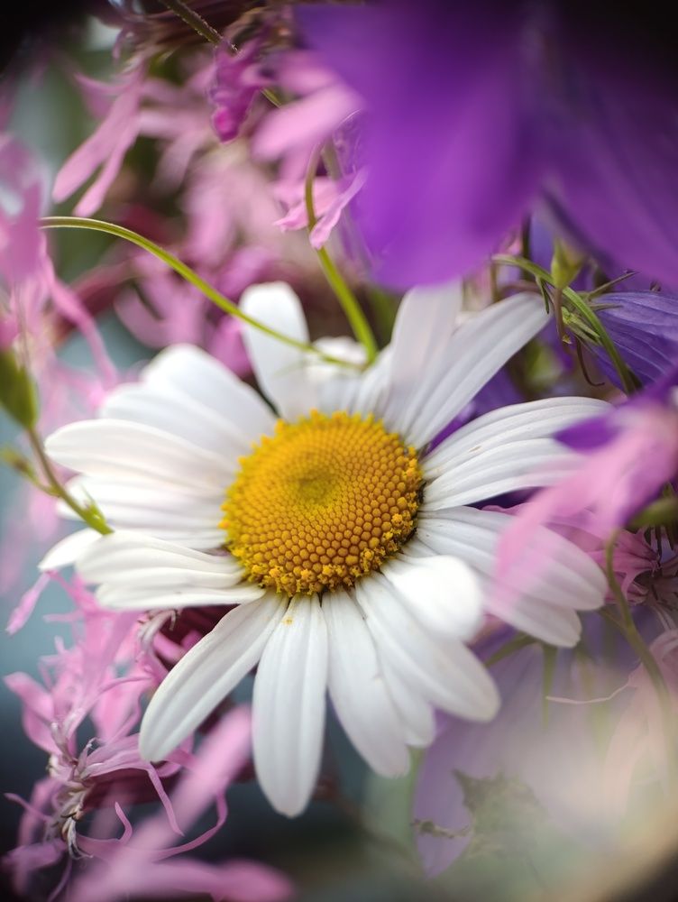 Photograph by Юлия Смирнова