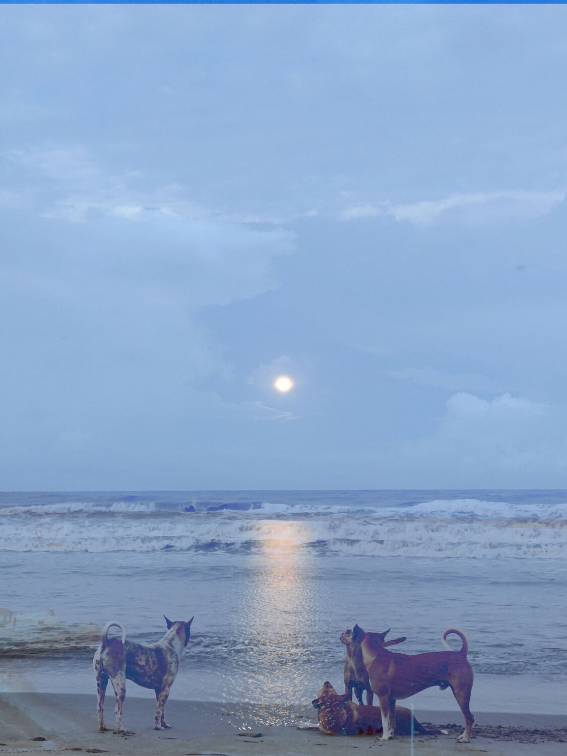 Photo #12287583