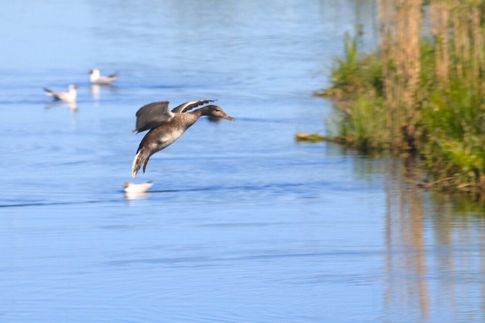Photograph by Гагик Саркисян