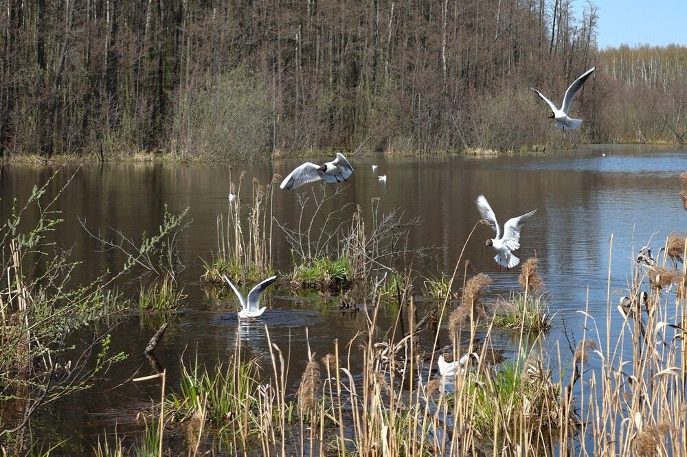 Photograph by Гагик Саркисян