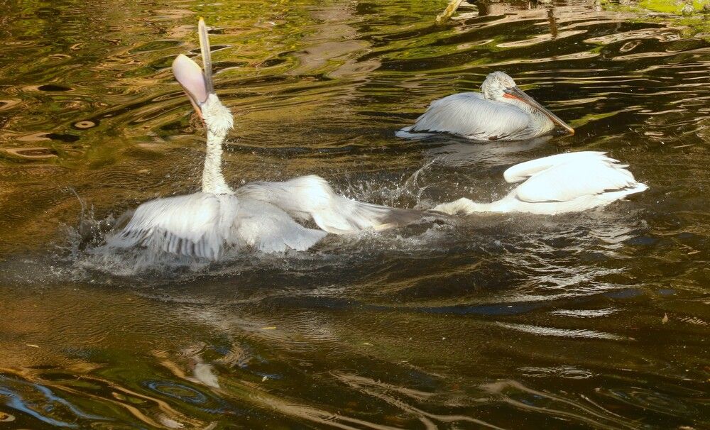 Photograph by Гагик Саркисян