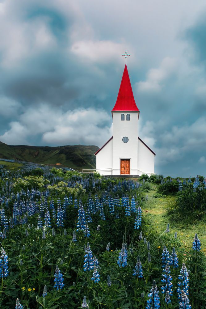 Фотография автора Talal Abodeshish