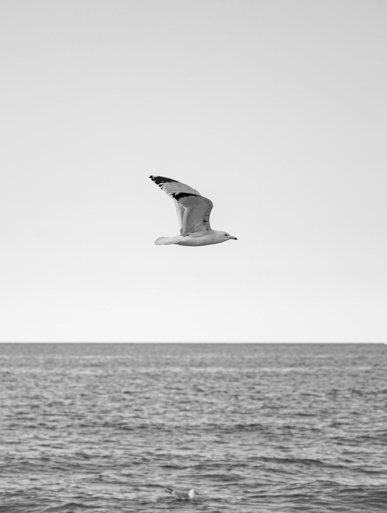 Photograph by Kedar Diwakar Mandakhalikar