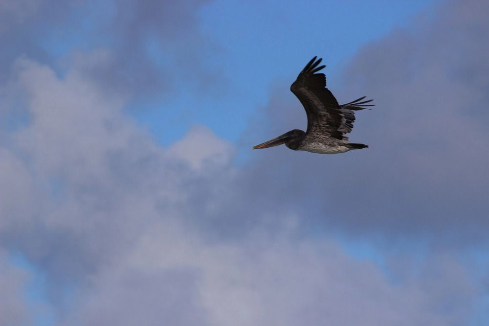 Photograph by Екатерина Александровна