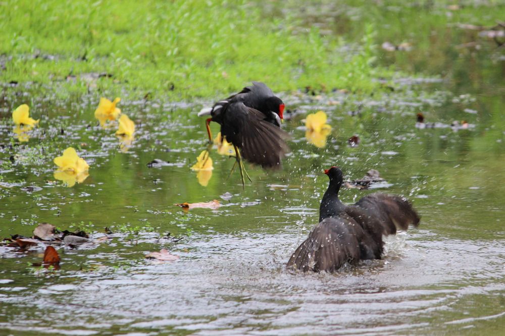 Photograph by Екатерина Александровна
