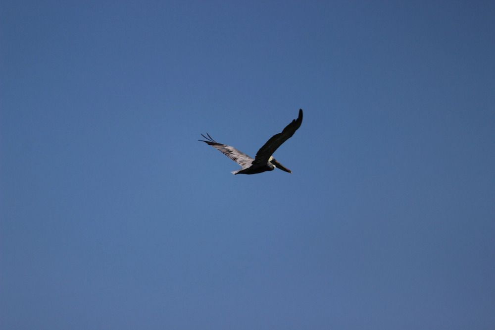 Photograph by Екатерина Александровна