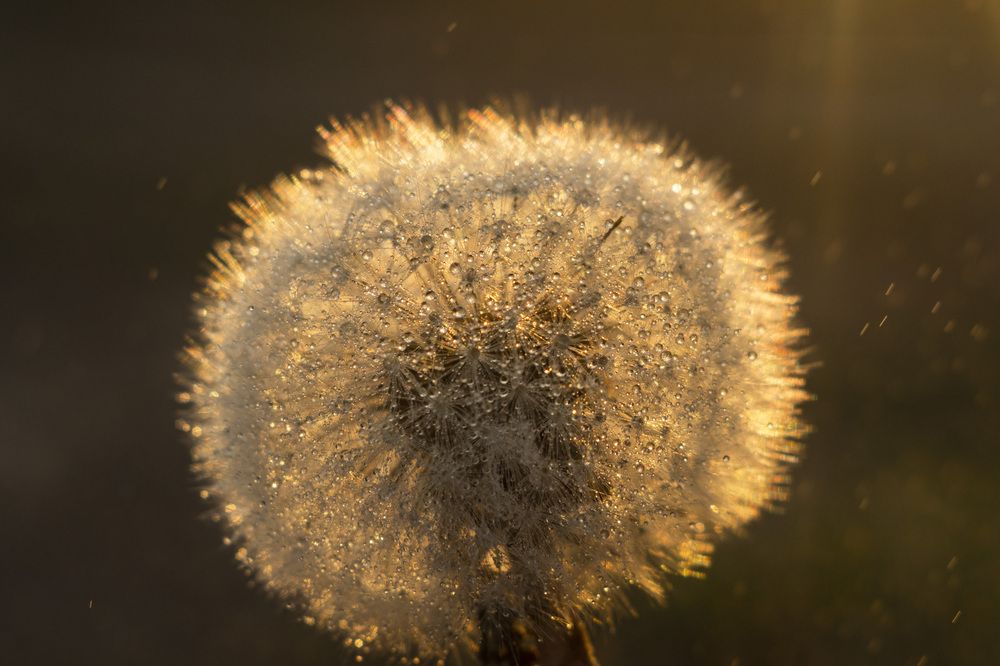 Photograph by Анна Каримуллина
