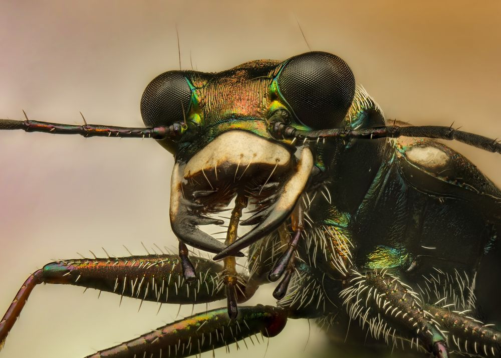 Photograph by Юрий Юрьевич Подгрушный