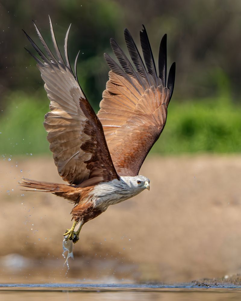 Photograph by Jit Chowdhury