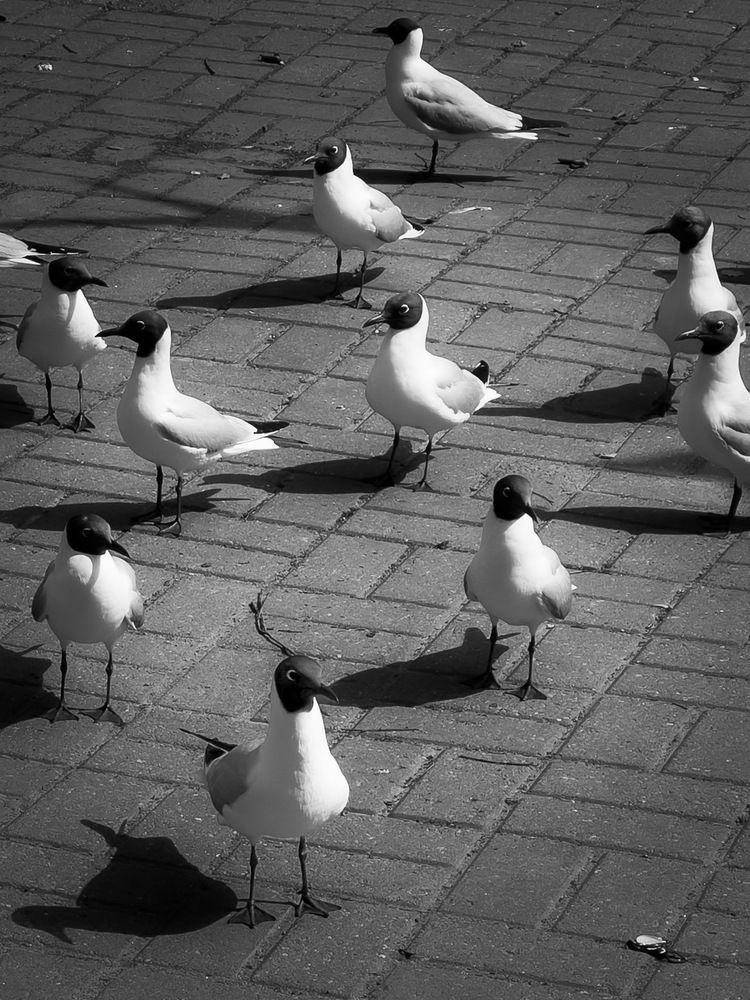 Photograph by Вячеслав Косенков