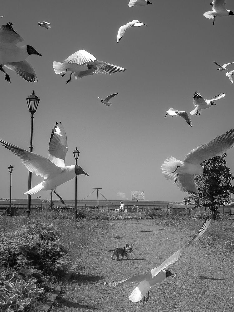 Photograph by Вячеслав Косенков