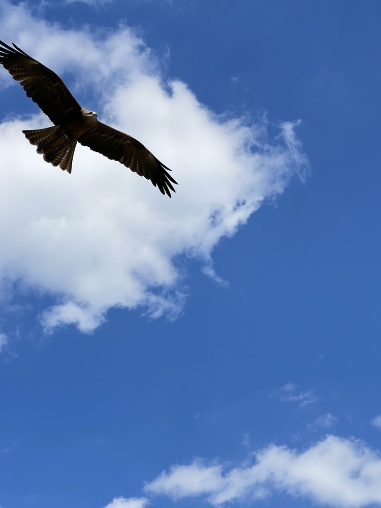 Photograph by Eugenia Schmidt