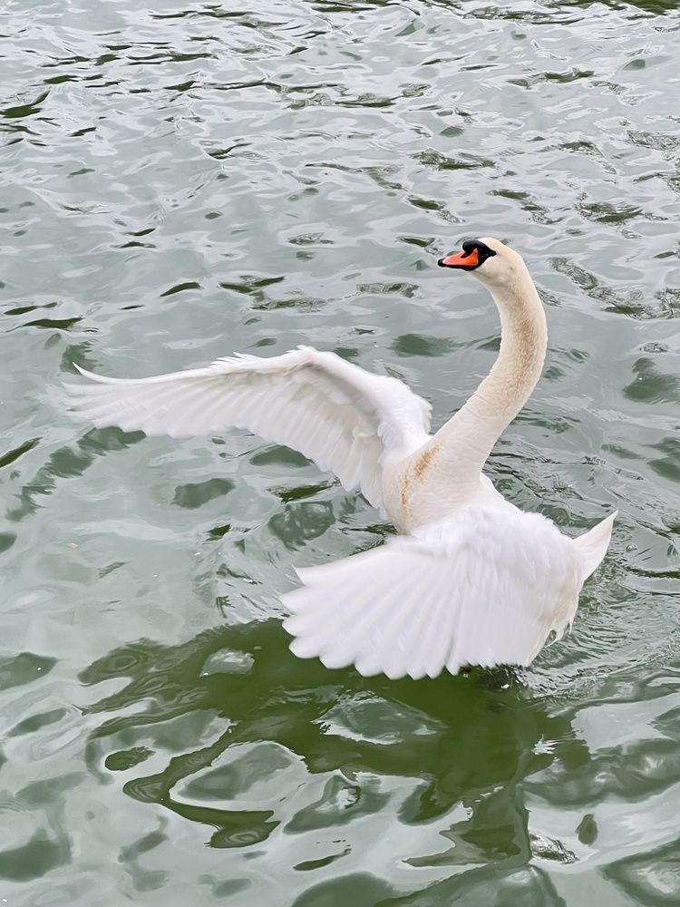 Photograph by Eugenia Schmidt