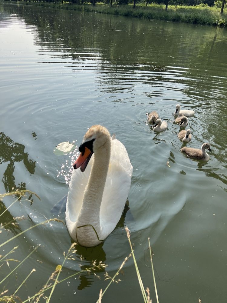 Photograph by Eugenia Schmidt