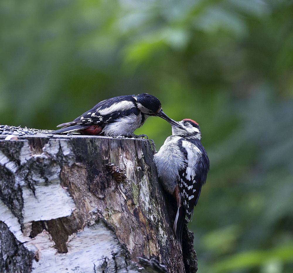 Мгновение любви