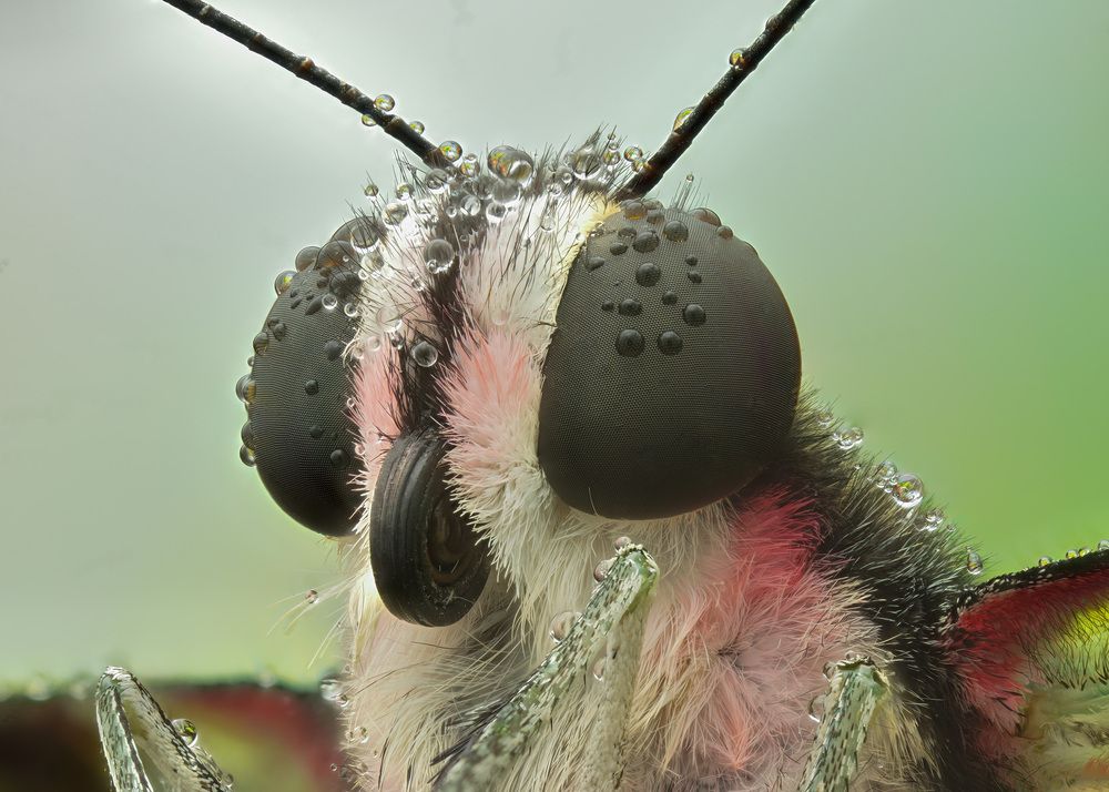 Photograph by Юрий Юрьевич Подгрушный